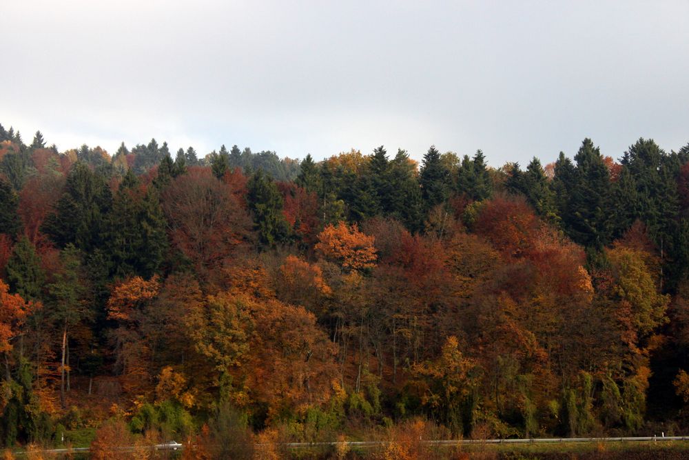 fahrt in den Herbst II