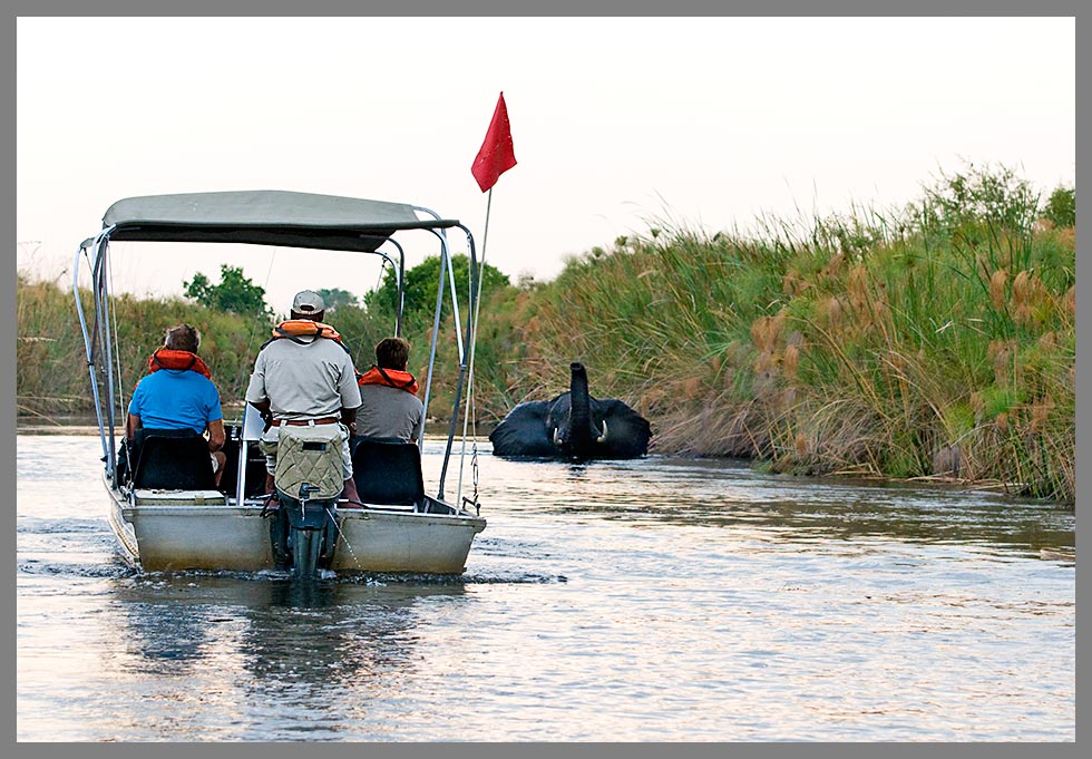 Fahrt in den Kanälen des Okavango-Deltas