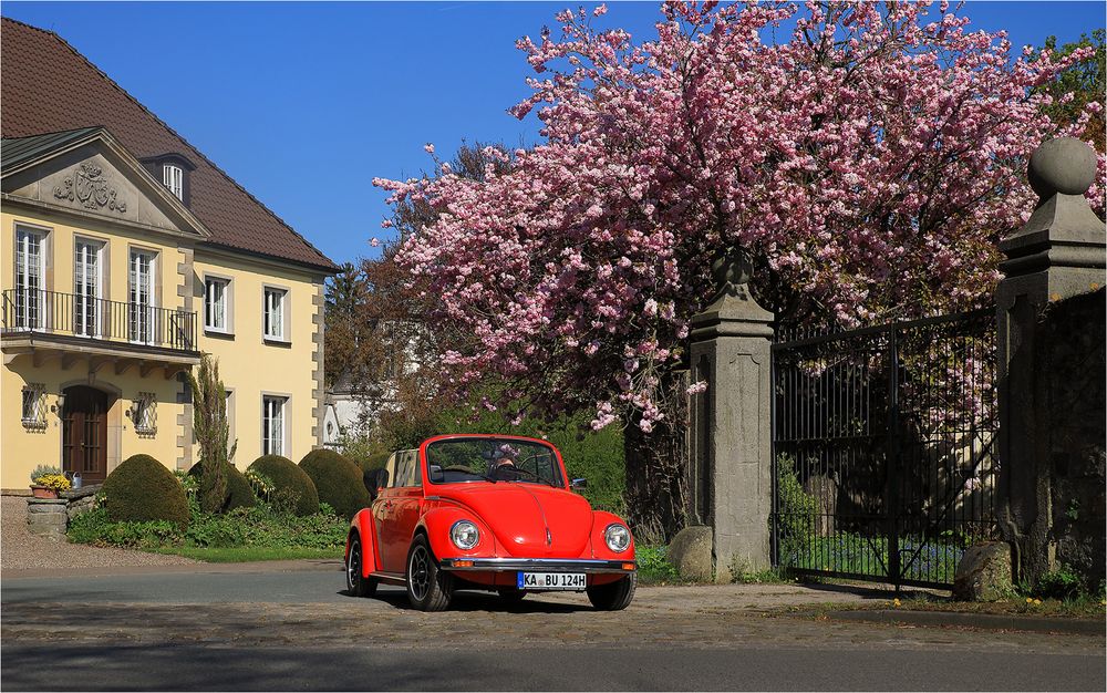 Fahrt in den Mai