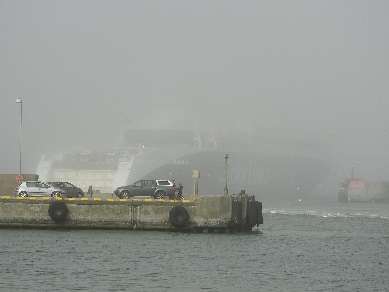 Fahrt in den  Nebel