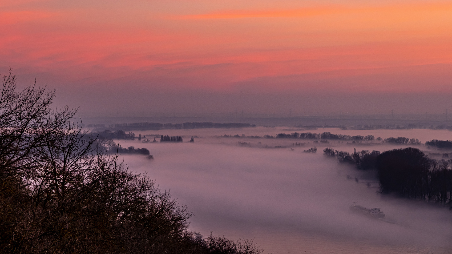 Fahrt in den Nebel