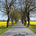 Fahrt in den Sommer