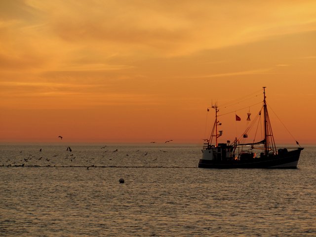 Fahrt in den Sonnenuntergang