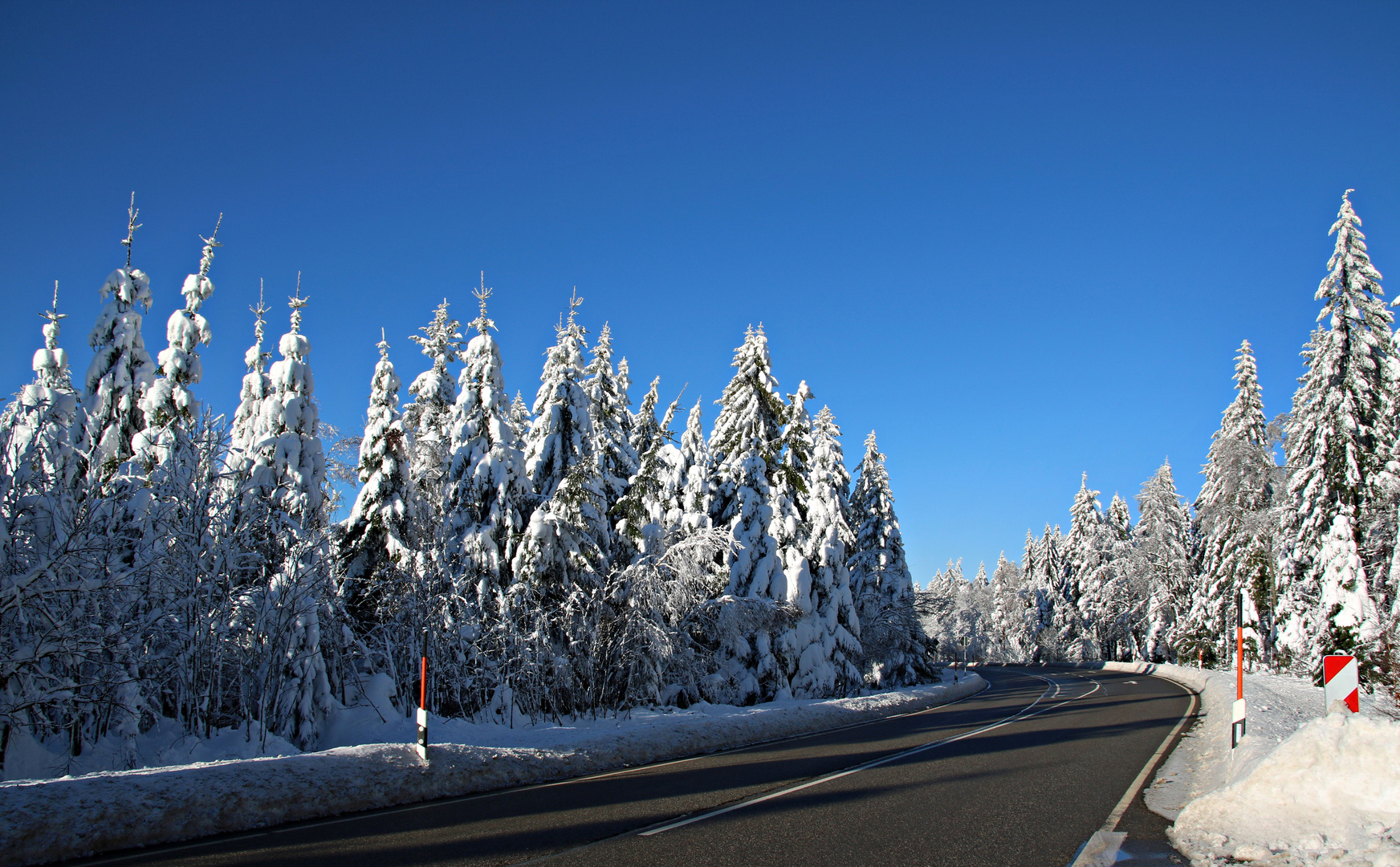 Fahrt in den Winter