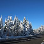 Fahrt in den Winter