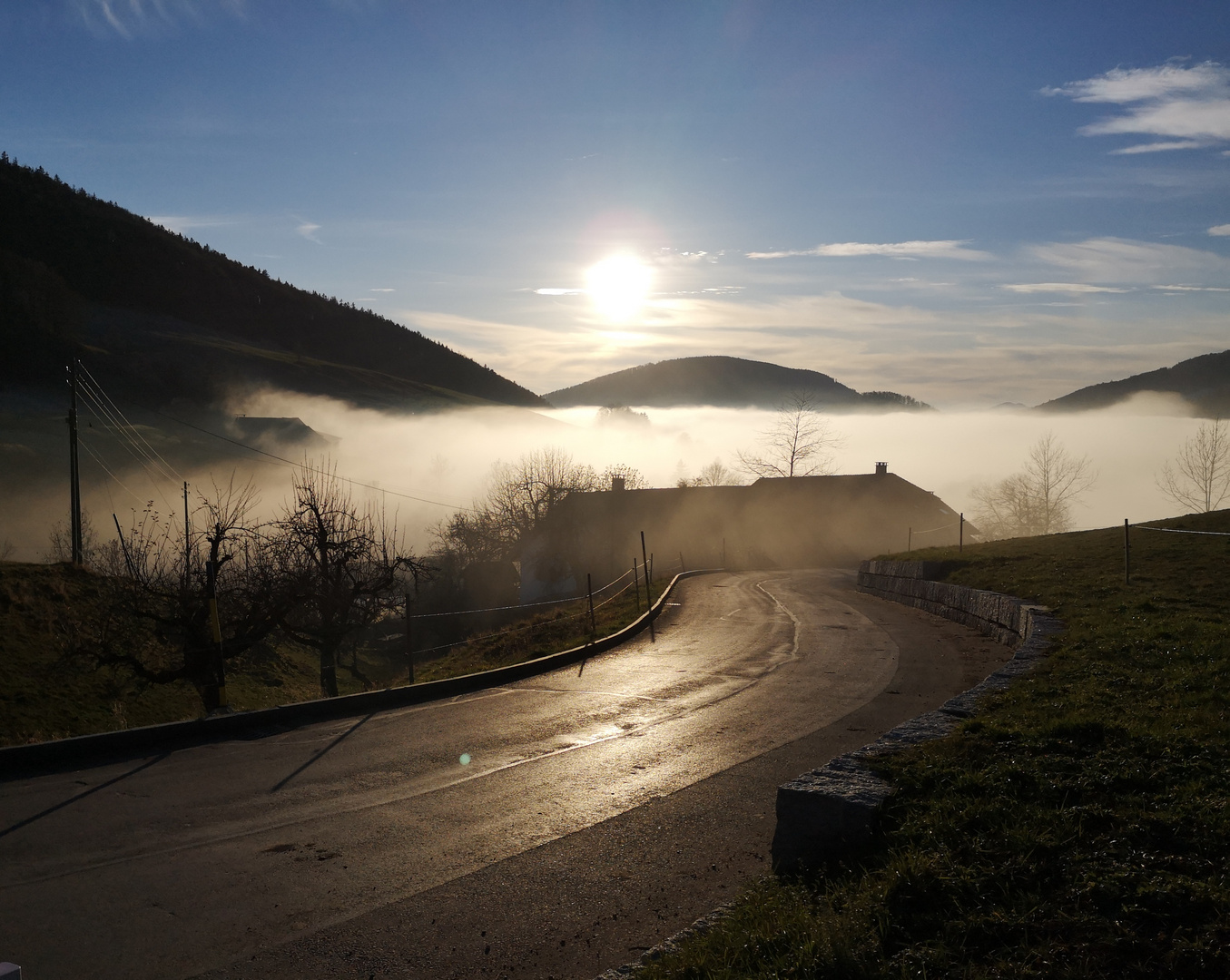 Fahrt ind den Nebel