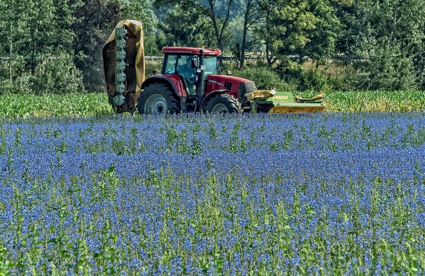 Fahrt ins Blaue