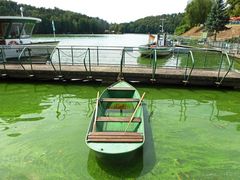 Fahrt ins Grüne