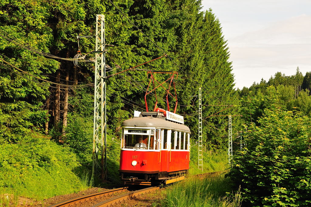 Fahrt in's Grüne