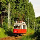 Fahrt in's Grüne