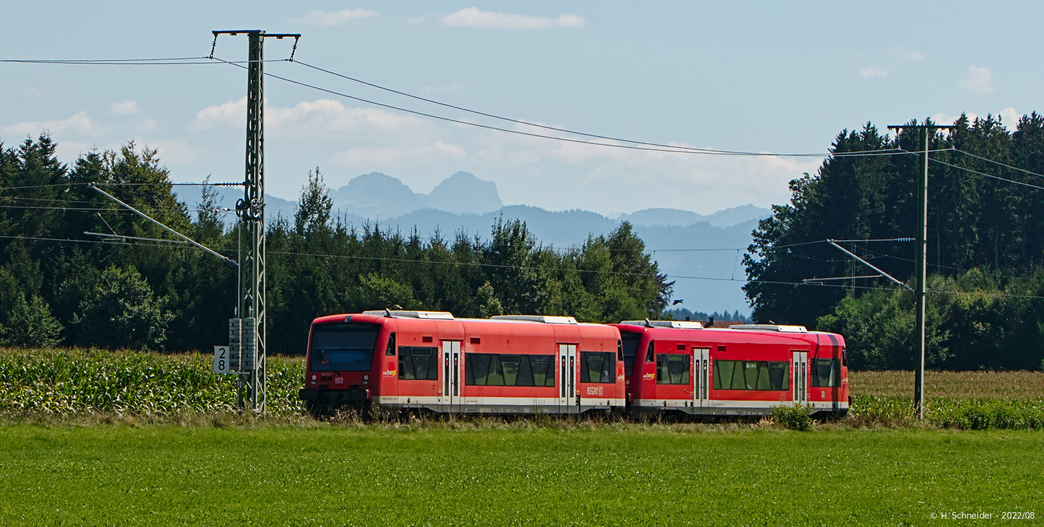 Fahrt ins Grüne