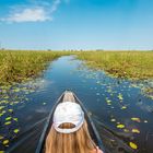 Fahrt ins Okavango-Delta mit einem Mokoro (Einbaum-Boot)