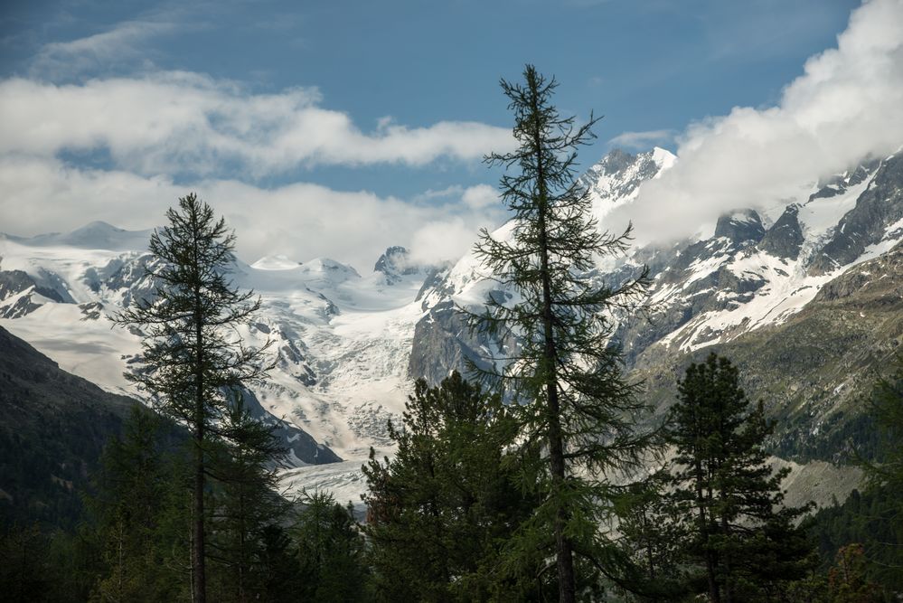 Fahrt mit dem Bernina Express