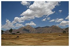 Fahrt mit dem Überlandbus von Cuzco nach Puno (am Titikakasee)