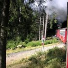 Fahrt mit der Brockenbahn