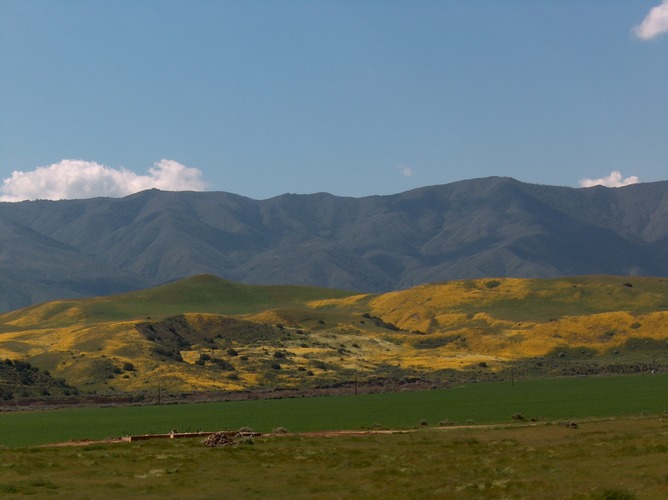 Fahrt nach Bakersfield (CA)