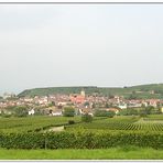 Fahrt nach Burkheim am Kaiserstuhl