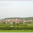 Fahrt nach Burkheim am Kaiserstuhl