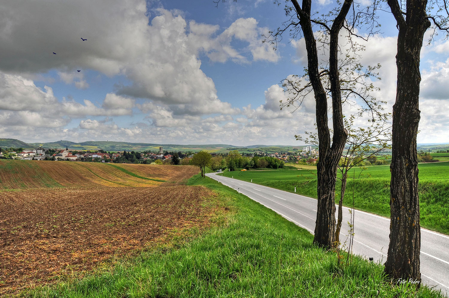 Fahrt nach Ernstbrunn...