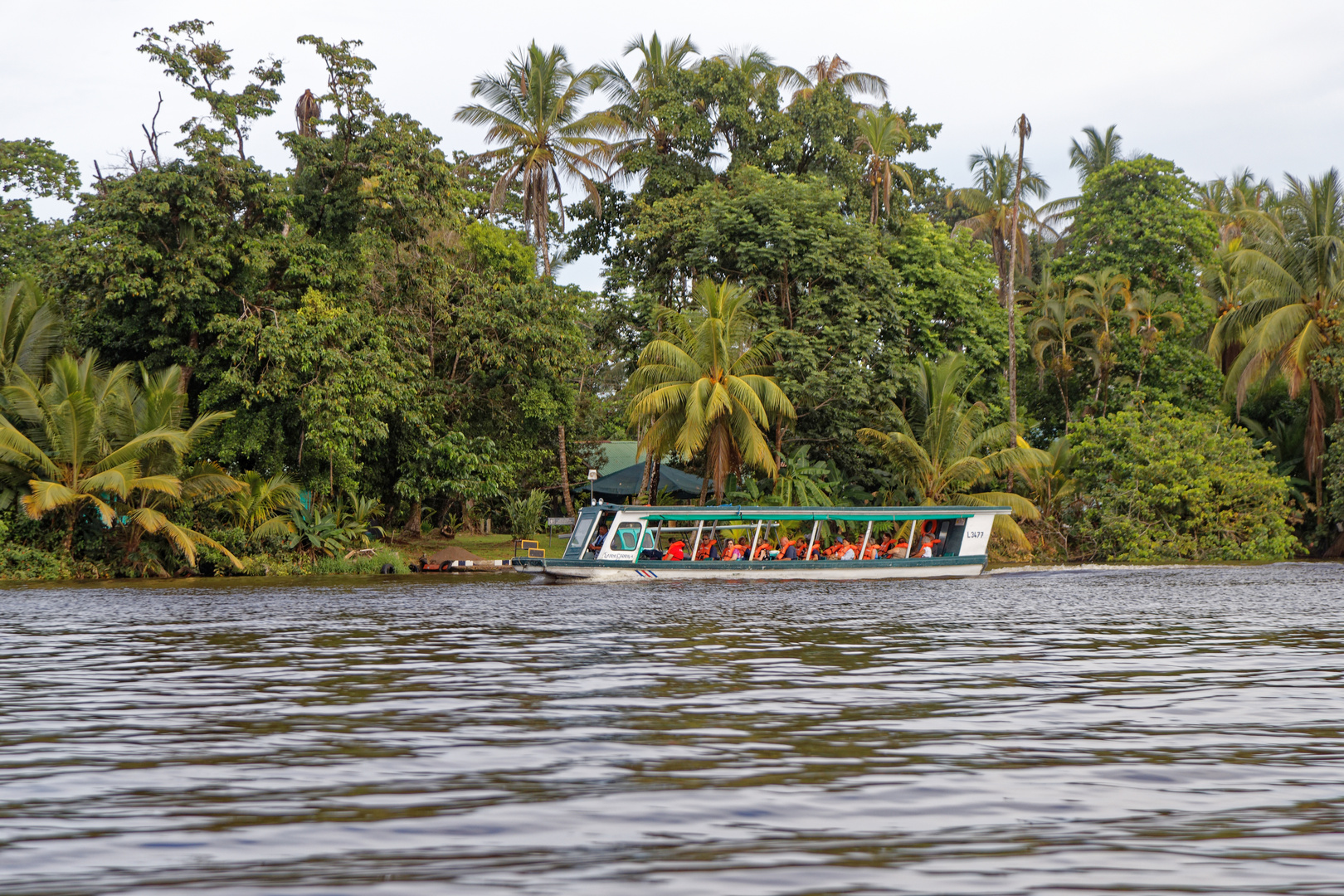 Fahrt nach Tortuguero_1