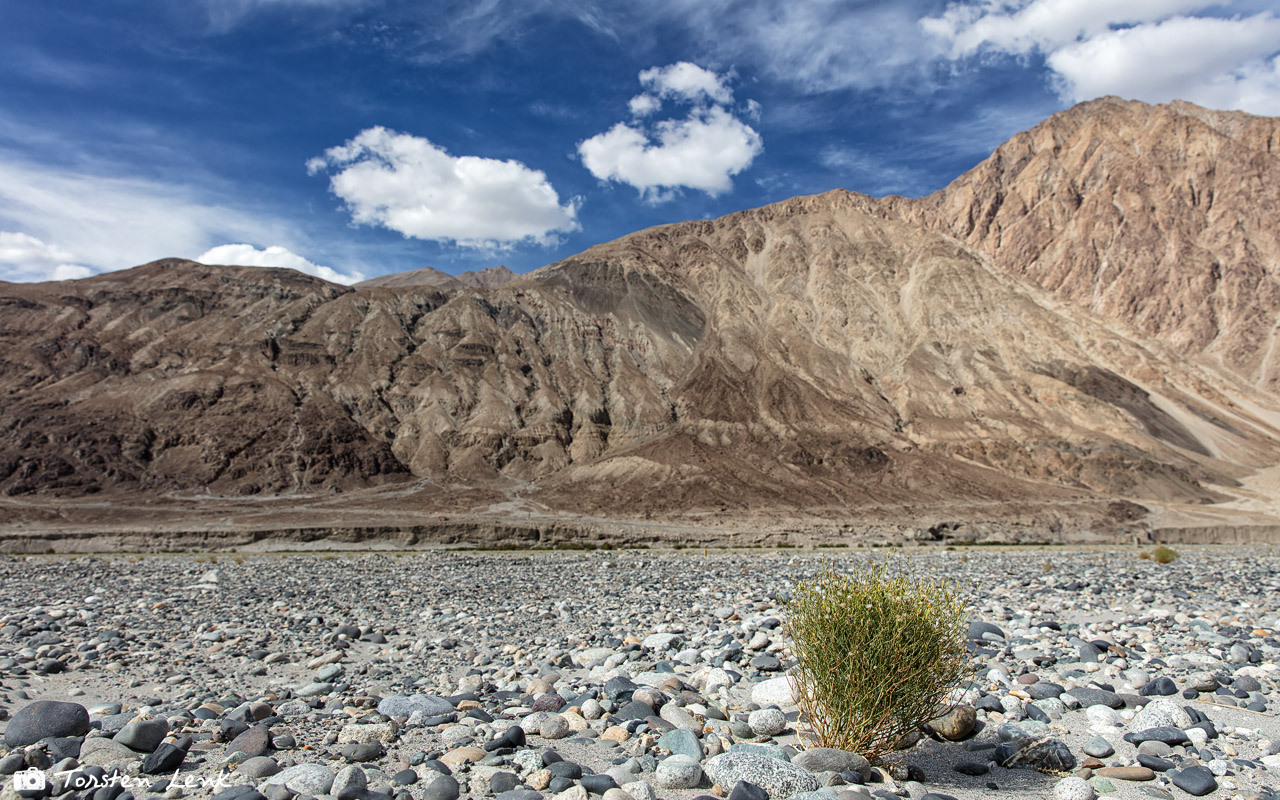 Fahrt Nubra Valley 