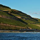 Fahrt Rüdesheim -Mäuseturm 02