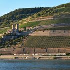 Fahrt Rüdesheim -Mäuseturm 03