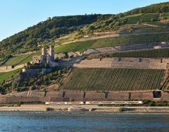 Fahrt Rüdesheim -Mäuseturm 03