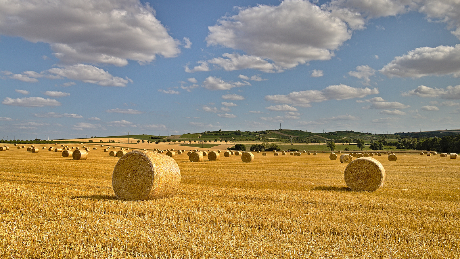 Fahrt zu den Strohballen Nähe Ensheim bei Alzey