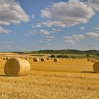 Fahrt zu den Strohballen Nähe Ensheim bei Alzey