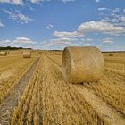 Fahrt zu den Strohballen Nähe Ensheim bei Alzey