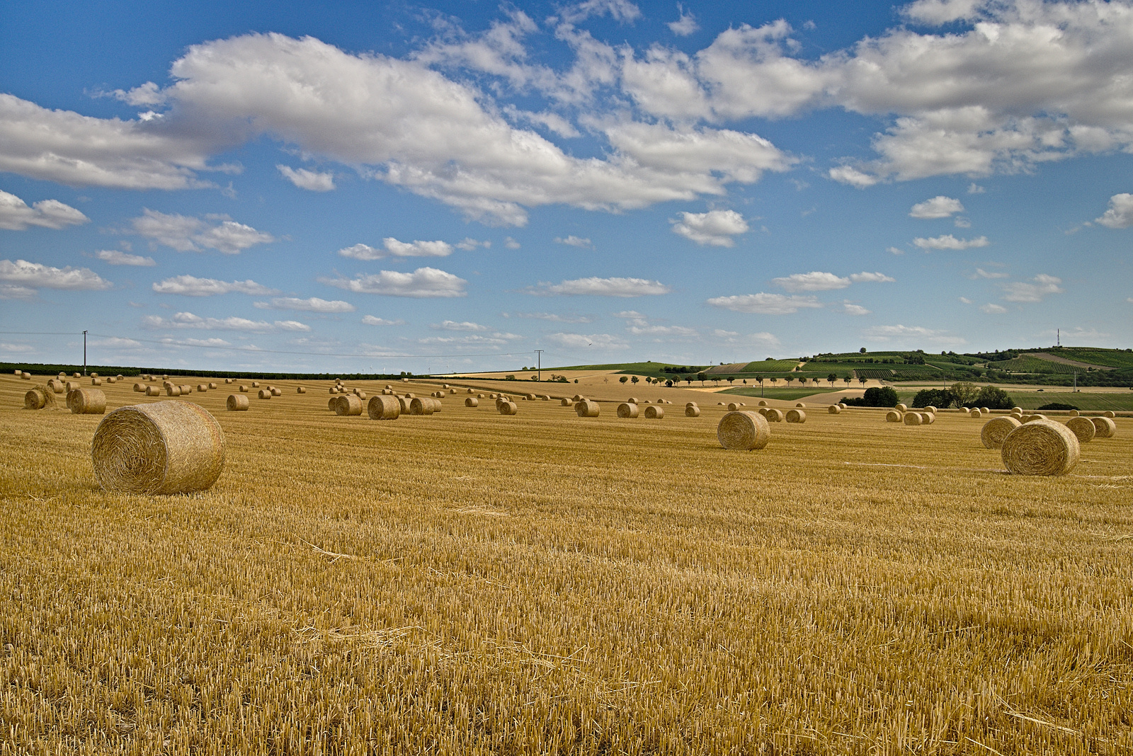 Fahrt zu den Strohballen Nähe Ensheim bei Alzey