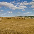 Fahrt zu den Strohballen Nähe Ensheim bei Alzey