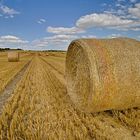 Fahrt zu den Strohballen Nähe Ensheim bei Alzey