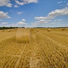 Fahrt zu den Strohballen Nähe Ensheim bei Alzey