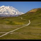 Fahrt zum Denali