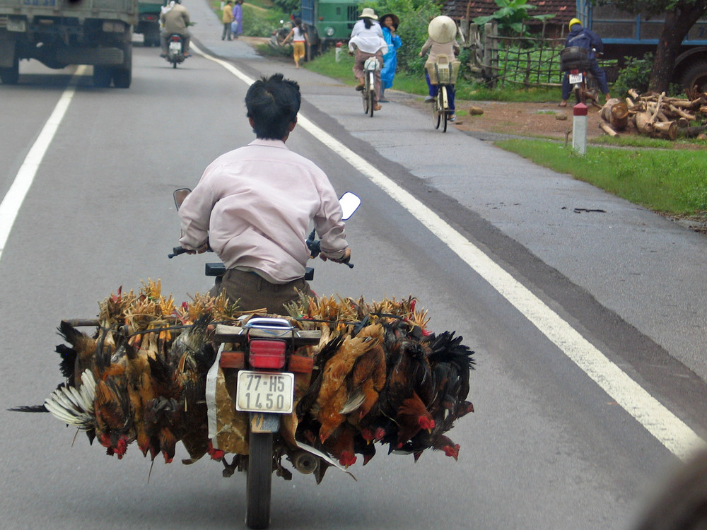 Fahrt zum Markt in Hue.