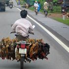 Fahrt zum Markt in Hue.