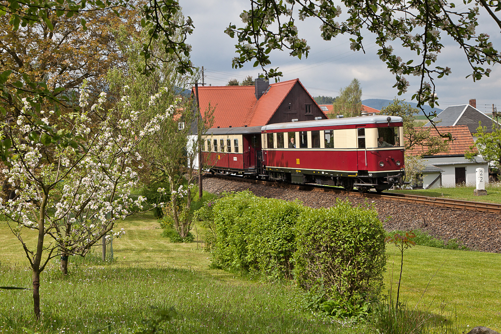 Fahrt zur Baumblüte