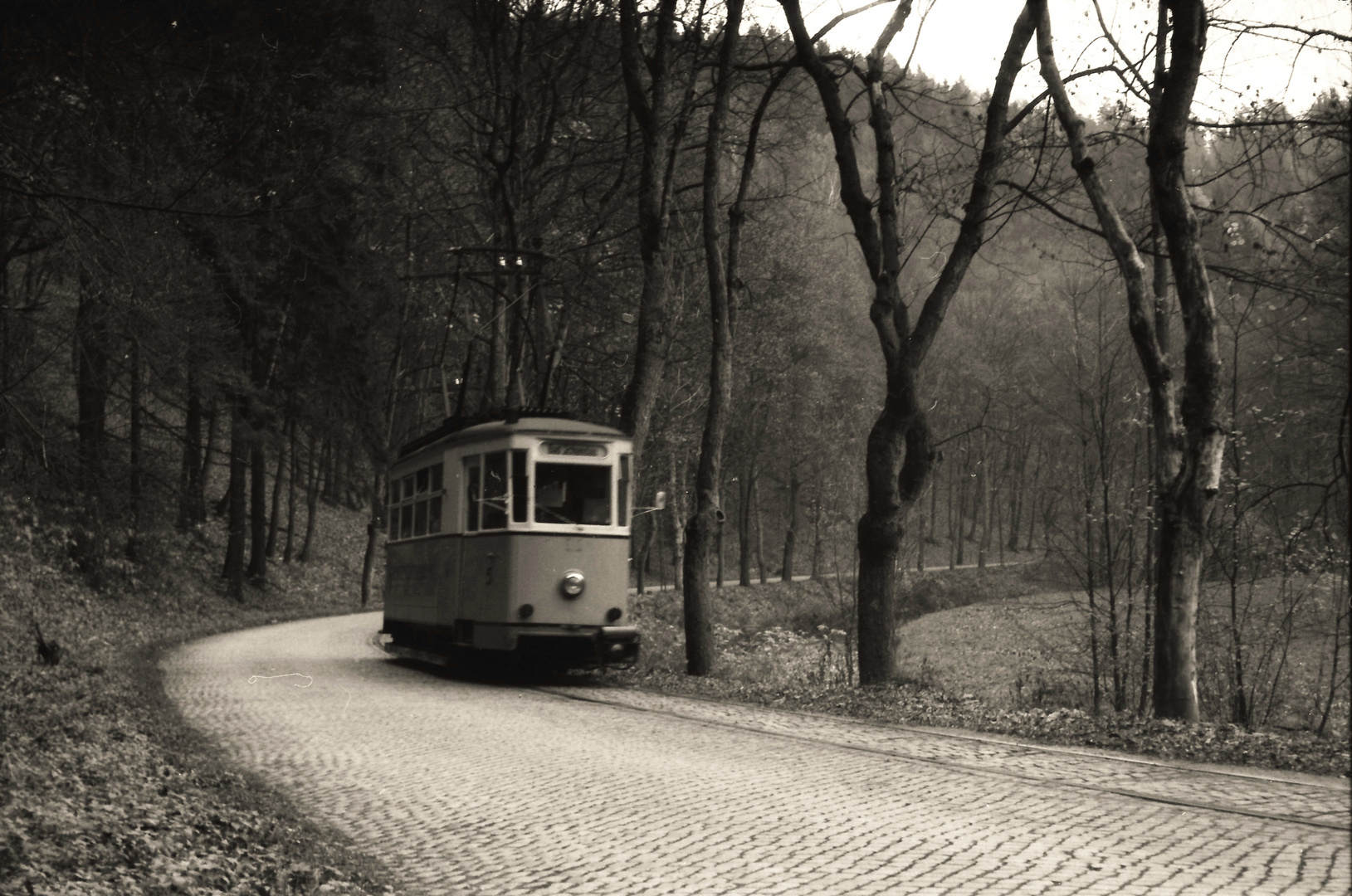 Fahrt zur Ostrauer Mühle 