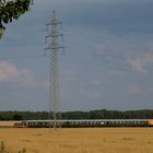 Fahrten zur Luckauer Kahnnacht  -2