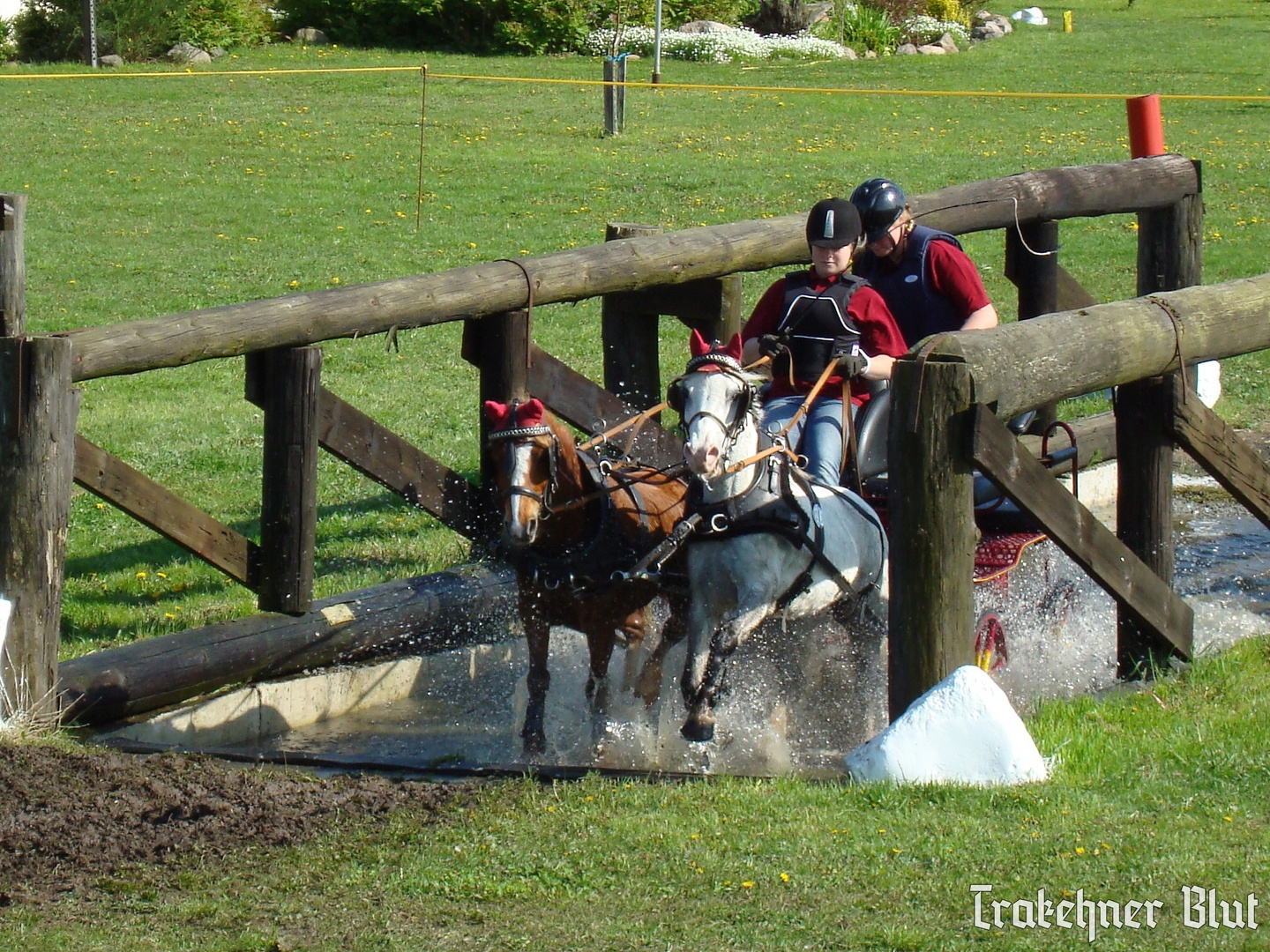 Fahrturnier in Bülstringen 2008