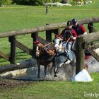 Fahrturnier in Bülstringen 2008