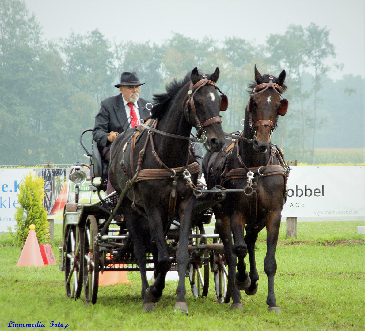 Fahrturnier  in Greffen 