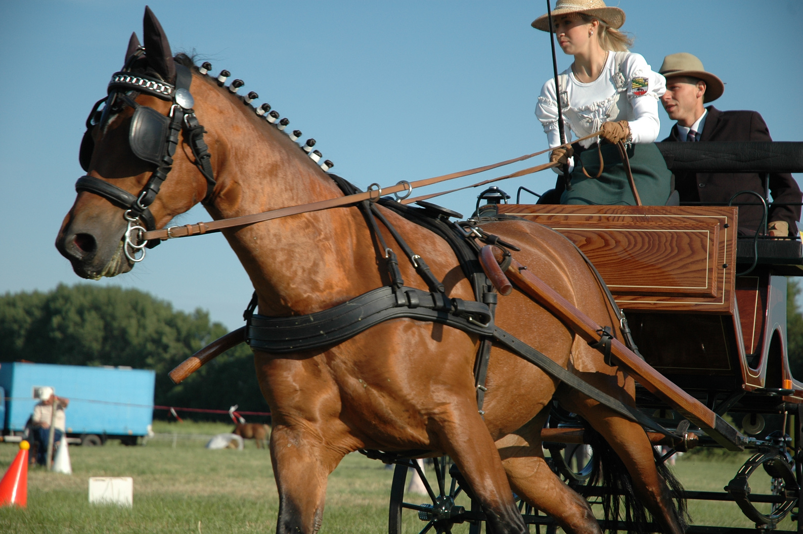 Fahrturnier in Westeregeln, Sommer 2011