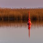 Fahrwassertonne im Zingster Hafen