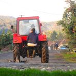 Fahrzeug - Trecker in der Pfütze