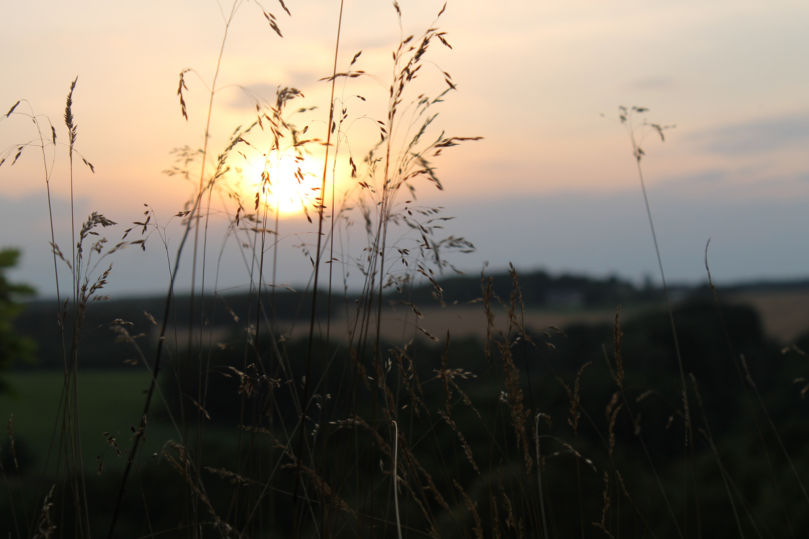 Fair Sunset