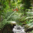 Fairchild Botanical garden