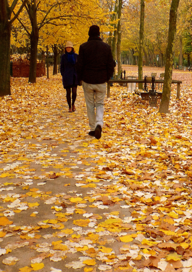 Faire craquer les feuilles mortes et bien en sentir l'odeur d'humidit...